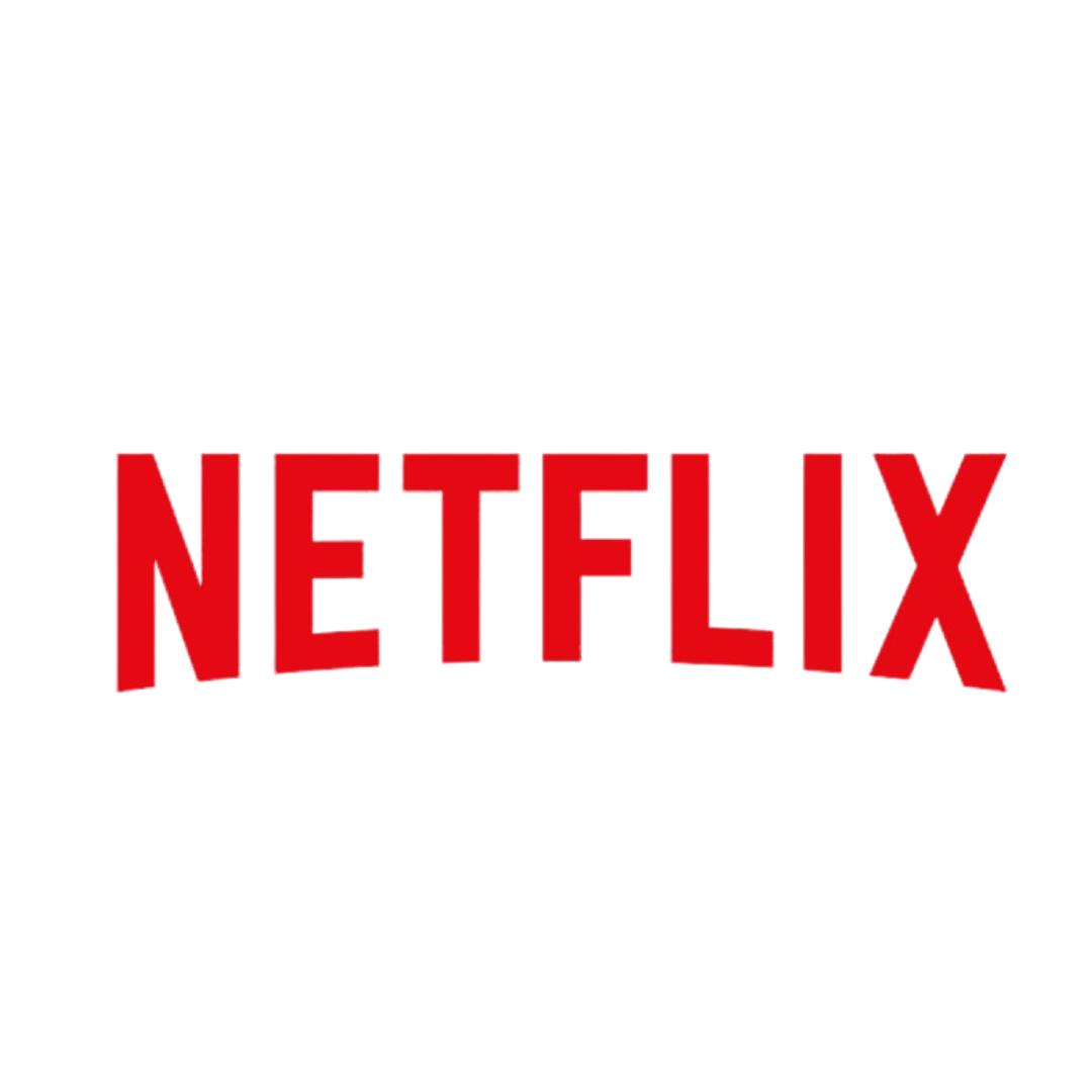 Netflix Product Image